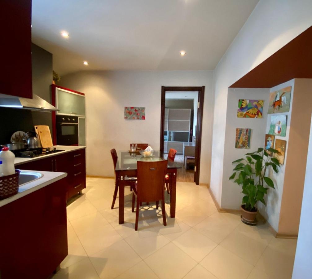Opera Apartment Tbilisi Esterno foto